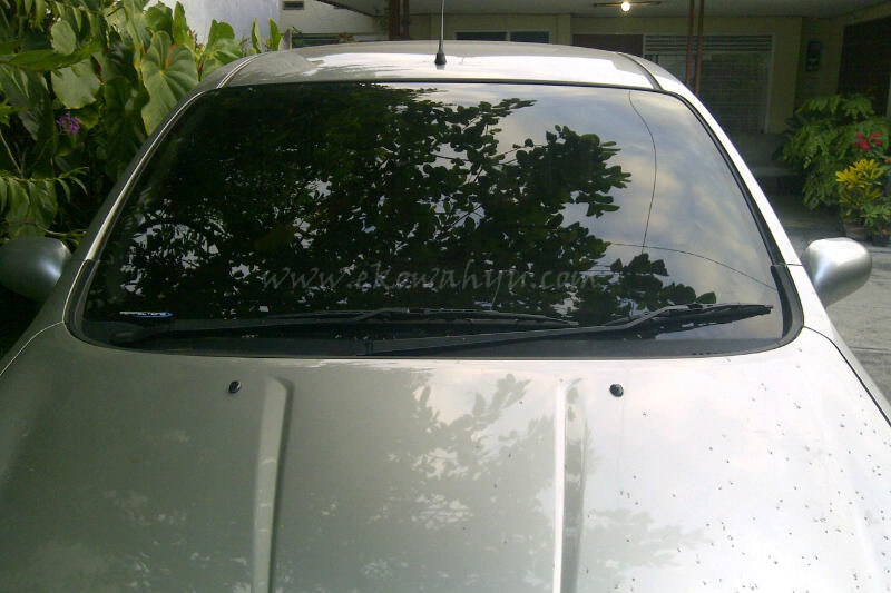 Perfection Nickel 40